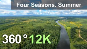 四季夏季森林以 360 格式 12K 分辨率放松飞行