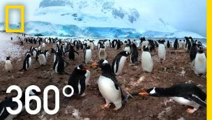 360 南极洲  意想不到的雪 国家地理