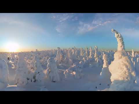 Four Seasons Winter Forest Relax Flight 360 video in 12K