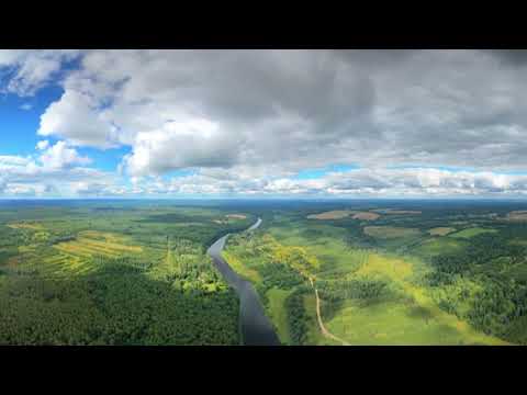 Four Seasons Summer Forest Relax Flight in 360 format 12K resolution