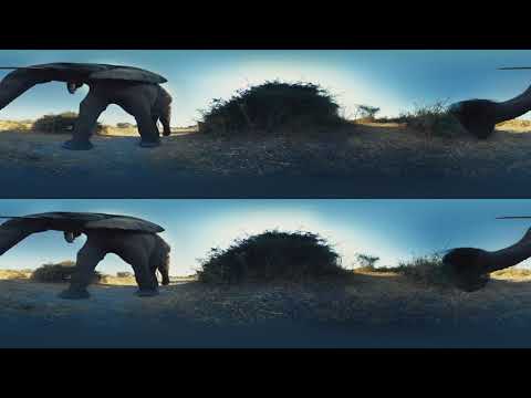 Elephant Encounter in 360 - Ep 2  The Okavango Experience