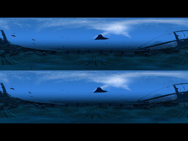 the Blu: Whale Encounter  3D 360 VR