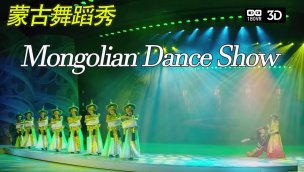 VR3D蒙古舞蹈表演