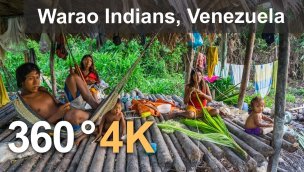 瓦劳印第安人奥里诺科三角洲委内瑞拉航空 360 度 4K 视频