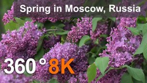 莫斯科春季 360 度视频 8K 虚拟旅行