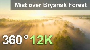 雾蒙蒙的早晨春天森林放松布良斯克森林俄罗斯 360 航空视频在 12K