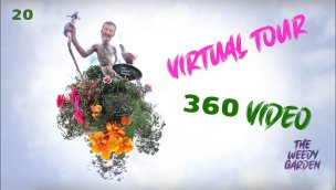 杂草花园的虚拟之旅  360 度视频