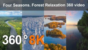 四季森林放松 360 度 8K 视频