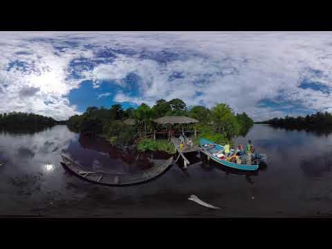 Warao Indians Orinoco Delta Venezuela Aerial 360 video in 4K