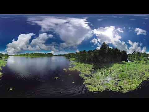 Warao Indians Orinoco Delta Venezuela Aerial 360 video in 4K