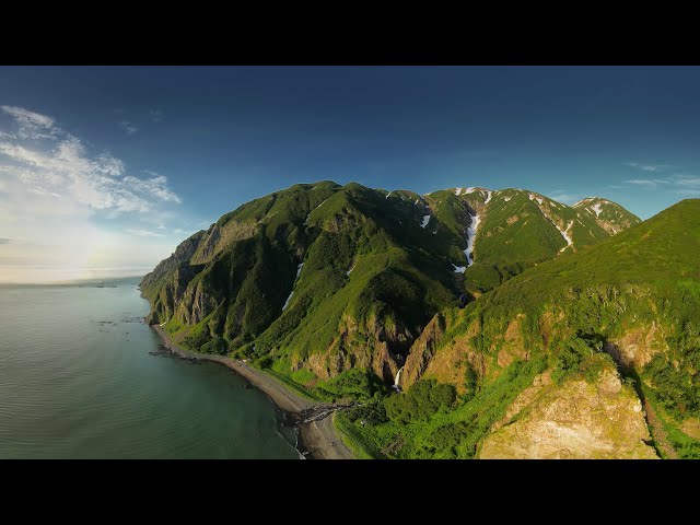 Whales and bears Kamchatka Peninsula Eastern coast Bering sea Russia Aerial 360 video in 12K
