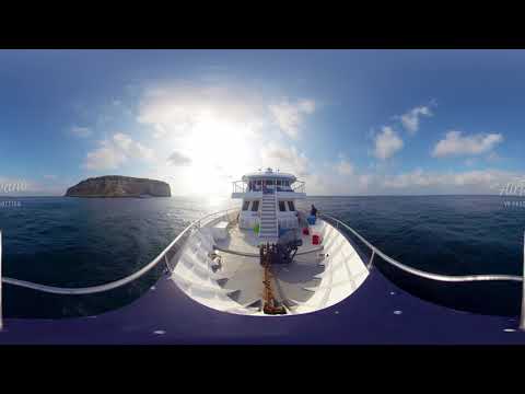 Animals of Galpagos archipelago Ecuador 360 video in 5K