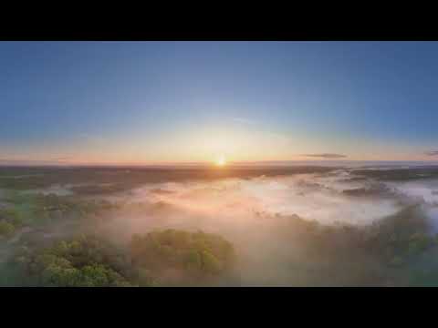 Misty Morning Spring Forest Relaxation Bryansk Forest Russia 360 aerial video in 12K