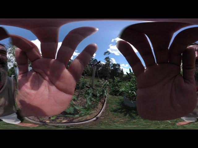 Virtual Tour of The Weedy Garden - 360 Video