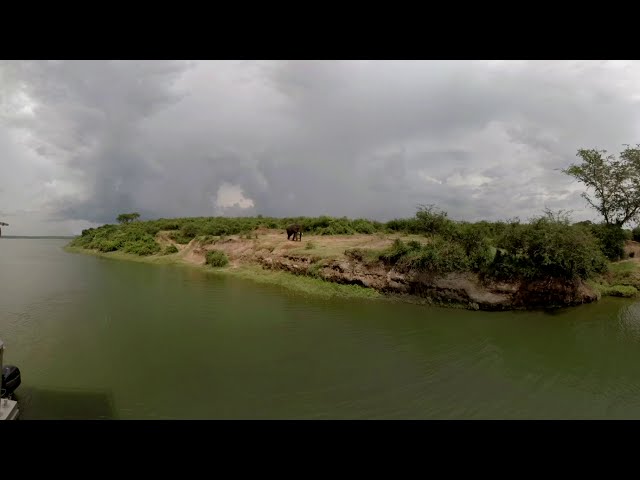 Boat Safari With Tons Of Elephants  Hippos - 360 VR Video