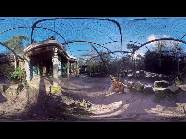 The Eye Of The Tiger VR Experience - 360 Video