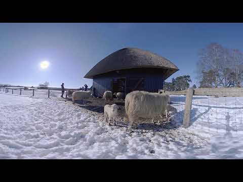 Winter Forest VR: The Hoge Veluwe National Park - 8K 3D 360 Video图2