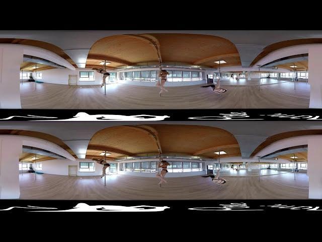 3D钢管舞与钢管mimi-3603DVR图